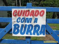 /album/rindo-no-maximo/cuidado-com-a-burra-jpg/